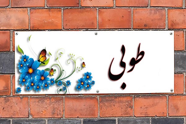 طرح استعدادیابی طوبی 