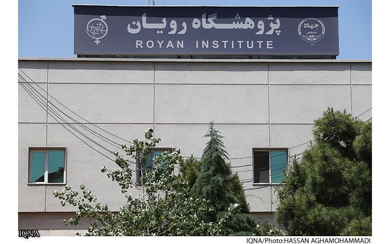 یک شنبه/ چرا مسلمانان اروپا و آمریکا برای درمان ناباروری به ایران می&zwnj;آیند