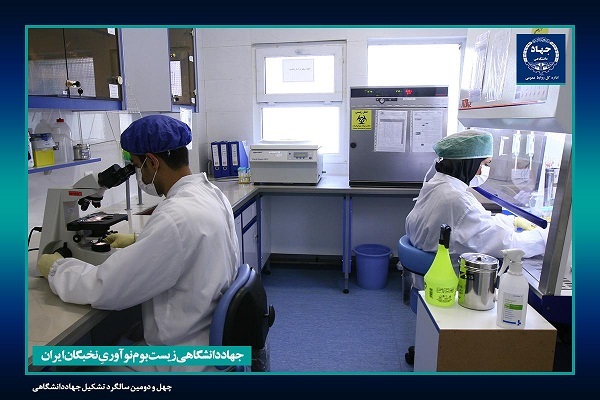 چترحمایتی جهاددانشگاهی بر ۵۱۰ شرکت فناور و دانش&zwnj;بنیان