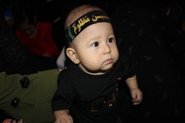 برگزاری مراسم شیرخوارگان حسینی در هرات+ تصاویر