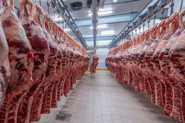 استفاده از فناوری بلاک چین برای تأیید و ردیابی گوشت حلال استفاده از فناوری بلاک چین برای تأیید و ردیابی گوشت حلال