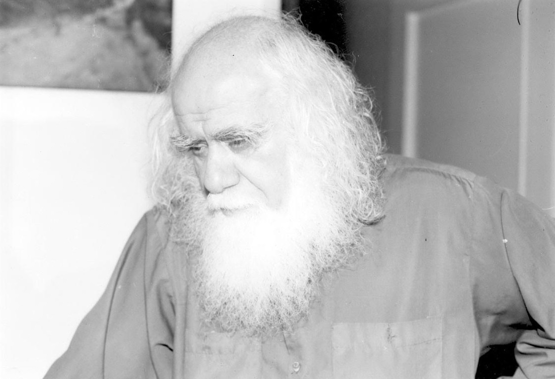 حکیمی و سیاست