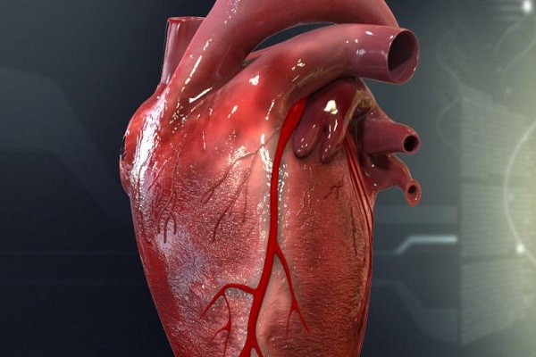 شگفتی‌های قلب انسان