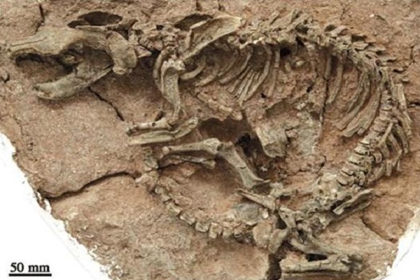 «قُل كُونُواْ حِجَارَةً أَوْ حَدِيداً» و همخوانی نص قرآن با دستاوردهای علم جدید