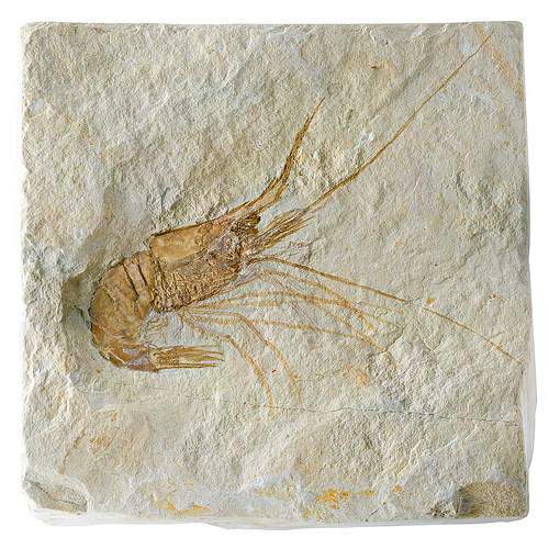 «قُل كُونُواْ حِجَارَةً أَوْ حَدِيداً» و همخوانی نص قرآن با دستاوردهای علم جدید