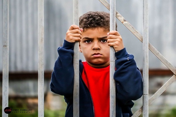 کودکان بیش از 50 درصد از تعداد شهروندان کل فلسطین را تشکیل می‌دهند