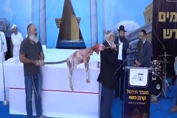 هشدارها در پی فراخوان صهیونیست‌ها برای تقدیم قربانی در مسجد الاقصی /آماده