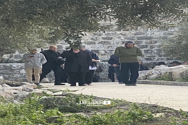 هشدارها در پی فراخوان صهیونیست‌ها برای تقدیم قربانی در مسجد الاقصی /آماده