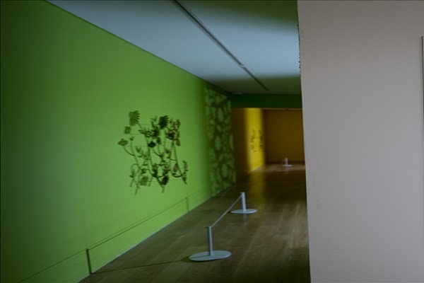 نمایشگاه نقاشی هنرمند نیوزلندی از گیاهان و میوههای قرآنی+عکس نمایشگاه نقاشی هنرمند نیوزلندی از گیاهان و میوههای قرآنی+عکس