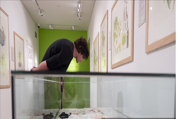 نمایشگاه نقاشی هنرمند نیوزلندی از گیاهان و میوههای قرآنی+عکس نمایشگاه نقاشی هنرمند نیوزلندی از گیاهان و میوههای قرآنی+عکس