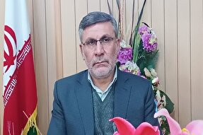 ضرورت انسجام و نوآوری در اجرای برنامه‌های دهه فجر