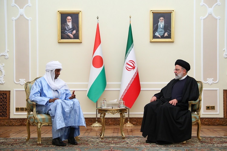 رئیس جمهور در دیدار نخست وزیر نیجر