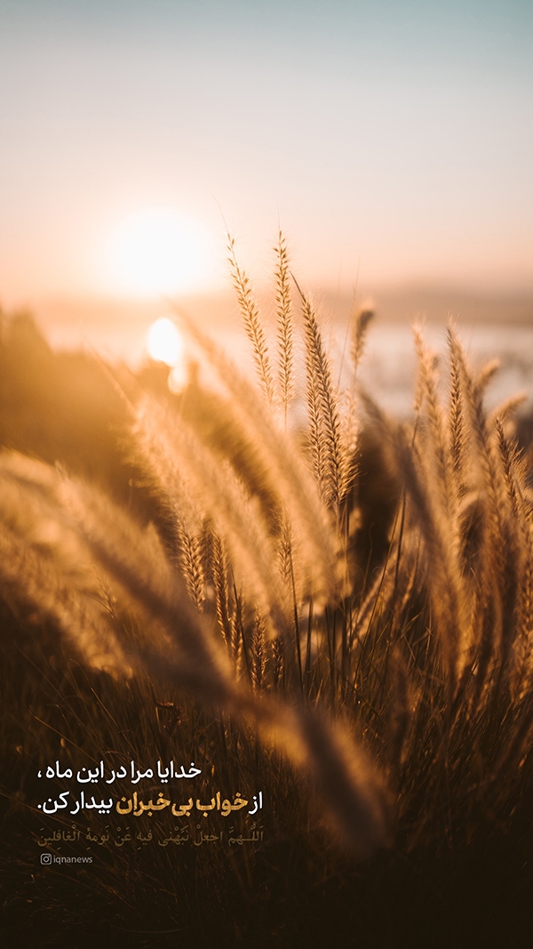 بیدارم کن از خواب بی‌خبران