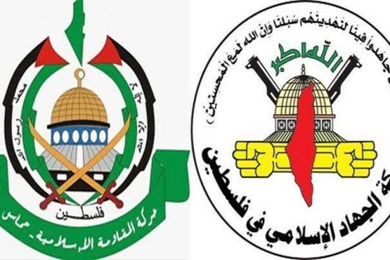 افزایش شمار شهدای غزه به ۲۹۴۱۰ شهید