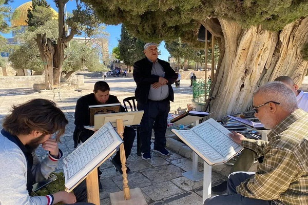 از رقص تلمودی وزیر صهیونیست در حرم ابراهیمی تا هتک حرمت مصلای باب الرحمه/آماده