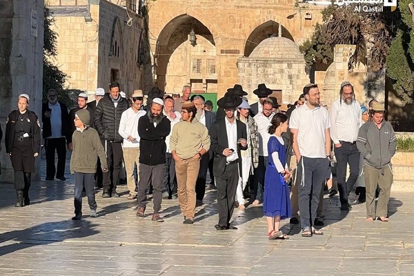 از رقص تلمودی وزیر صهیونیست در حرم ابراهیمی تا هتک حرمت مصلای باب الرحمه/آماده