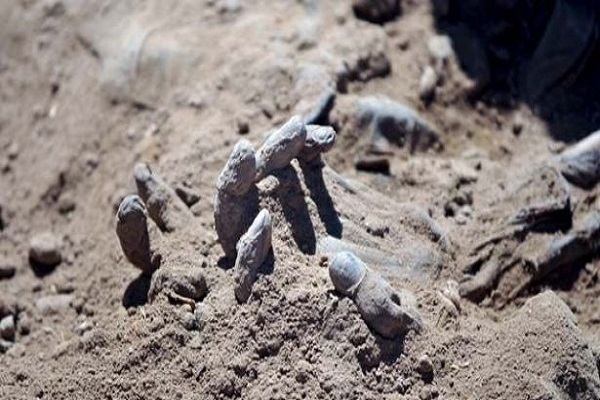 جنایت اسپایکر