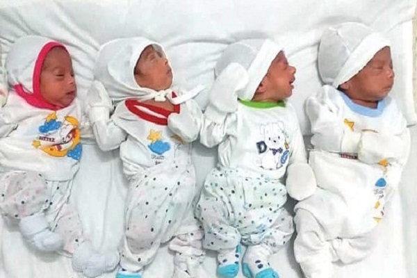 چهارقلوهای کرمانی صاحب زمین شدند