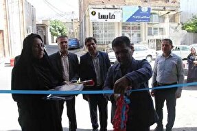 ۷۲ طرح اشتغالزایی مددجویان بهزیستی ایلام افتتاح شد