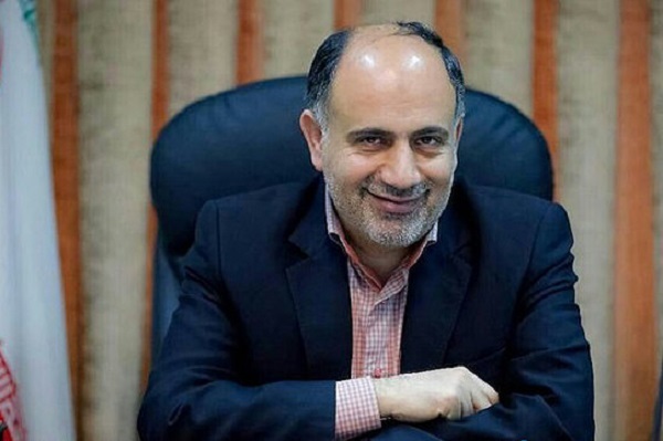 محمود شالویی