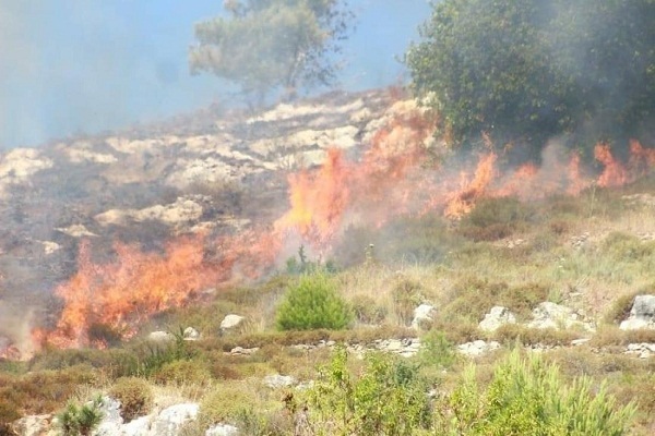 عملیات استشهادی در قدس تا درخواست وزیر لبنانی برای مقابله با تروریسم صهیونیستی علیه مقدسات اسلامی/اماده