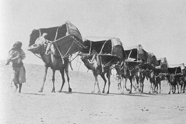 راه مکه: سیر سفر به حج در طول تاریخ