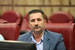 تردد بیش از ۴۰۰ هزار مسافر از مرز مهران در ماه محرم