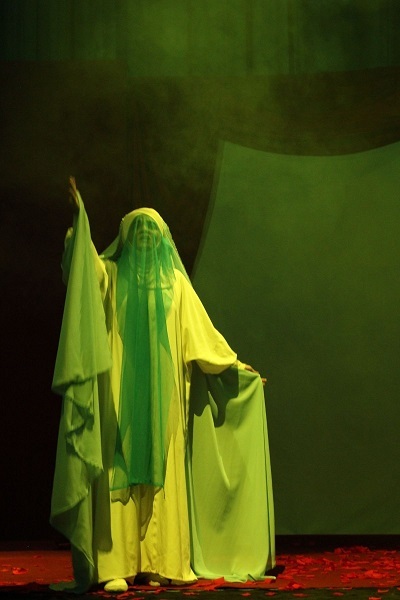 «علیا مخدره» روایت تولد تعزیه زنانه توسط بانوان ایرانی است «علیا مخدره» روایت تولد تعزیه زنانه توسط بانوان ایرانی است