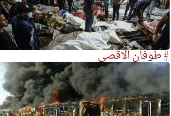 فلسطین، ادبیات مقاومت و نقش بانوان