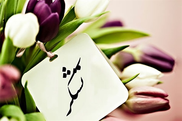 تشکر و قدردانی تشکر و قدردانی