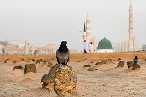 عظمت جایگاه فاطمه زهرا (س)