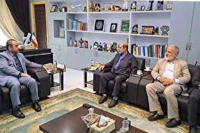 160 هزار خادم‌یار در کشور فعالیت می‌کنند