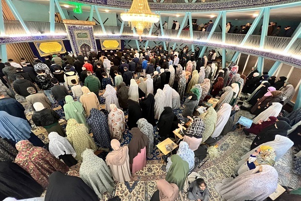 رونمایی از ترجمه آلمانی تفسیر المیزان + فیلم