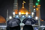 شب بارانی حرم کریمه اهل بیت(ع)