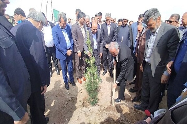 بزرگترین پارک جنگلی زاهدان با ۲۲ هزار نهال احداث می‌شود