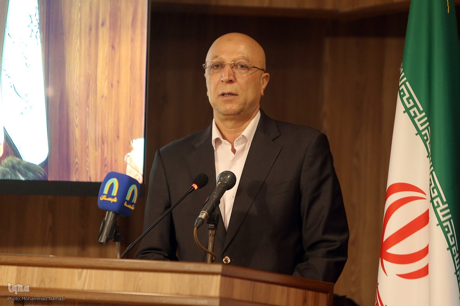 محمدعلی زلفی گل