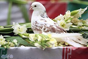 یادواره شهدای اردیبهشت‌ماه قزوین برگزار می‌شود