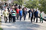 همایش پیاده‌روی در ۱۲ شهرستان ایلام به‌مناسبت روز دختر برگزار شد