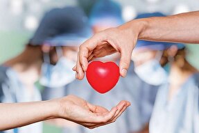۶۰ هزار شهروند قزوینی کارت اهدای عضو دارند