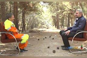 فیلم | بدون تعارف با پاکبان پاکدست