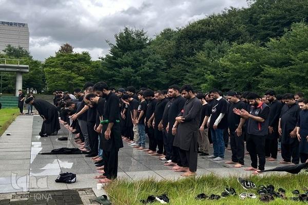 مراسم عزای حسینی در شهر دئگو کره جنوبی