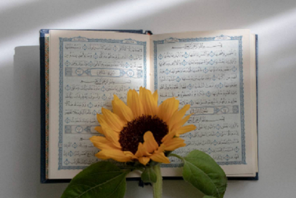 جلسه هم‌اندیشی مربیان آموزش روانخوانی قرآن کریم برگزار می‌شود 