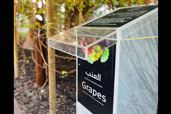 نمایش میراث اسلامی از طریق علم و طبیعت در بوستان قرآنی دبی + عکس و فیلم نمایش میراث اسلامی از طریق علم و طبیعت در بوستان قرآنی دبی + عکس و فیلم