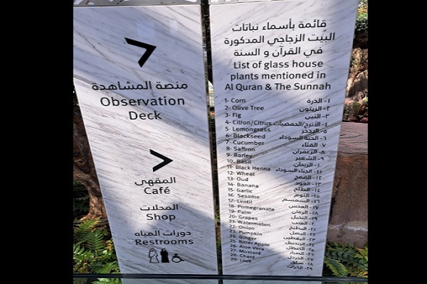 نمایش میراث اسلامی از طریق علم و طبیعت در بوستان قرآنی دبی + عکس و فیلم نمایش میراث اسلامی از طریق علم و طبیعت در بوستان قرآنی دبی + عکس و فیلم