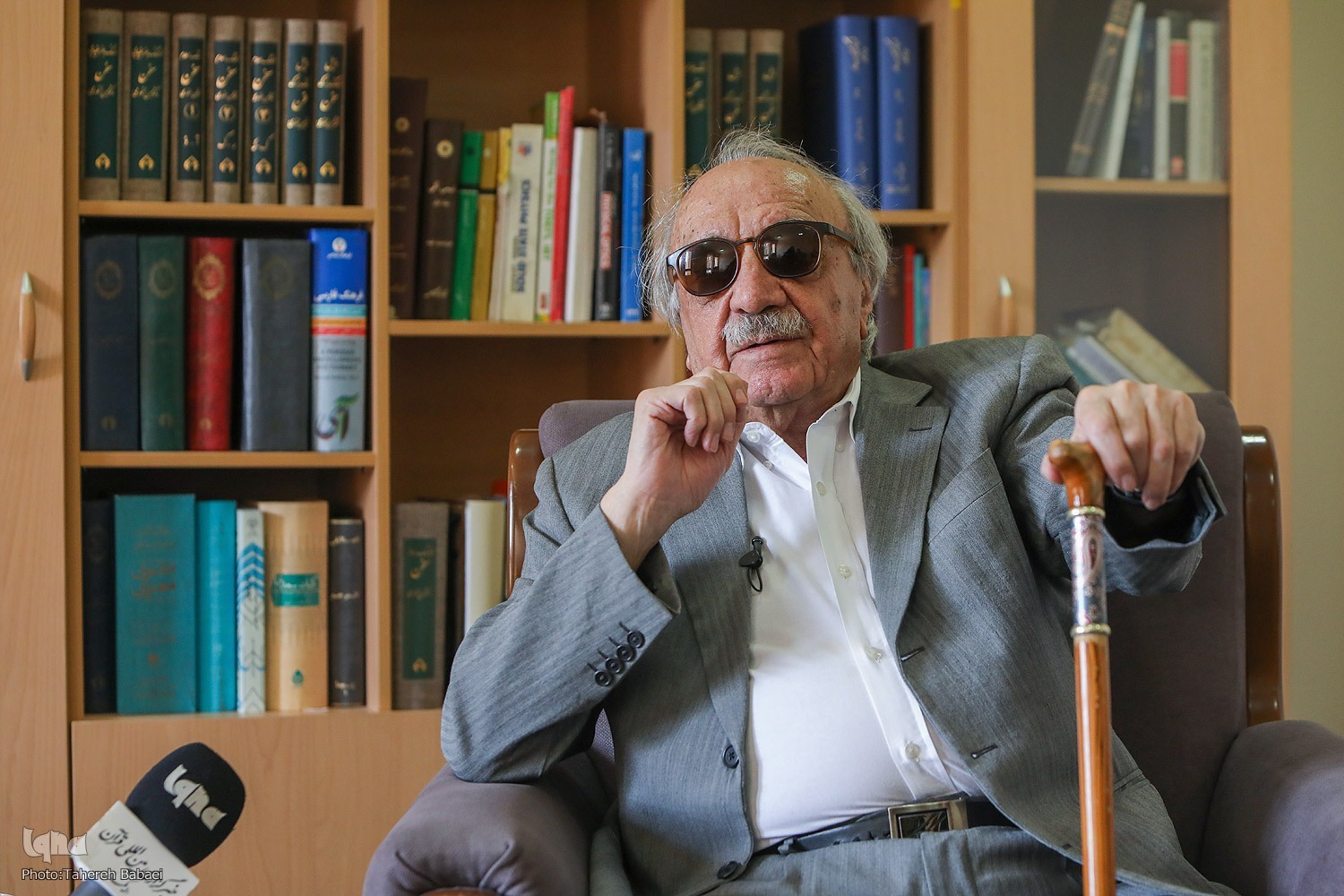 انوارِ عشق به وطن، هم‌وطن و زبان فارسی در سیمای حسن انوری