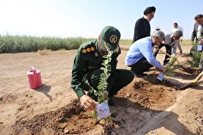 غرس 96 اصله نهال به یاد 96 شهیده استان کرمان