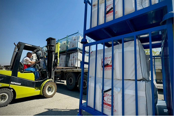 اعلام آمادگی بیش از 7 هزار داوطلب متخصص برای اعزام به لبنان