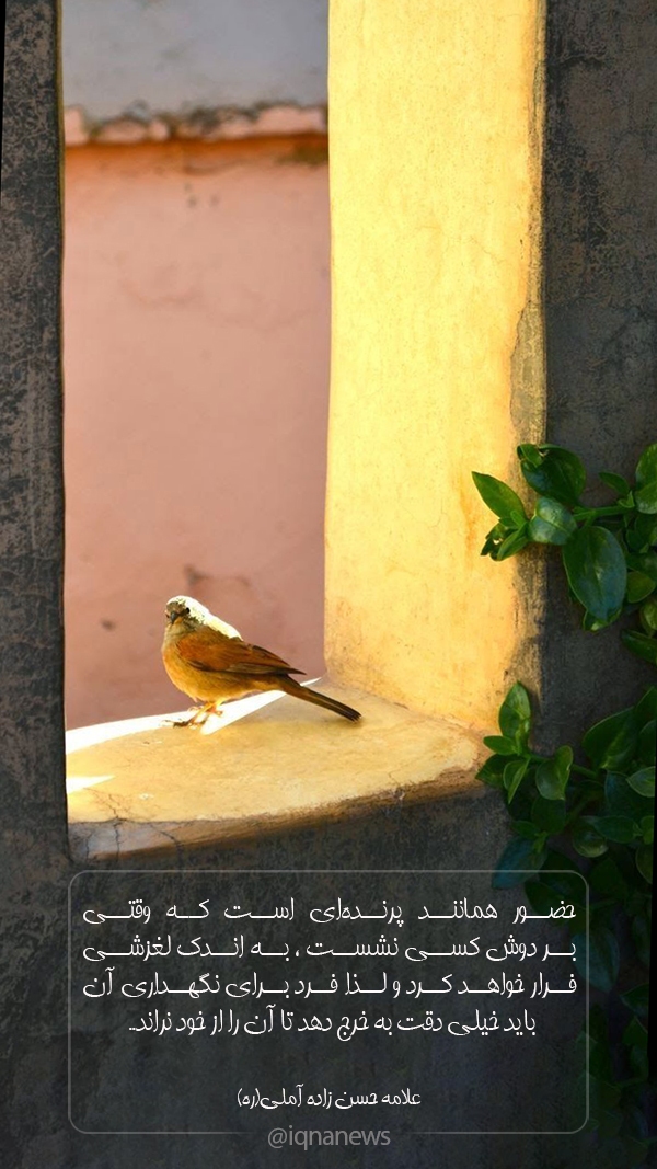 حضور، پرنده‌ای که پر می‌کشد