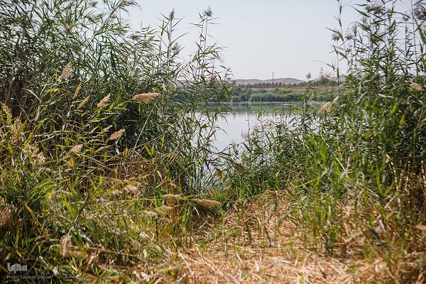 در حال تکمیل