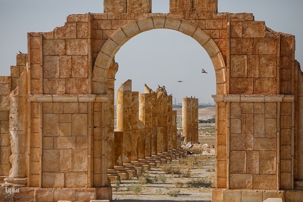 در حال تکمیل